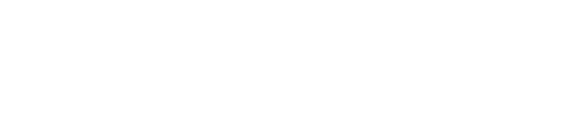 Logo client SCAEL