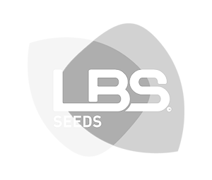 Logo client LBS